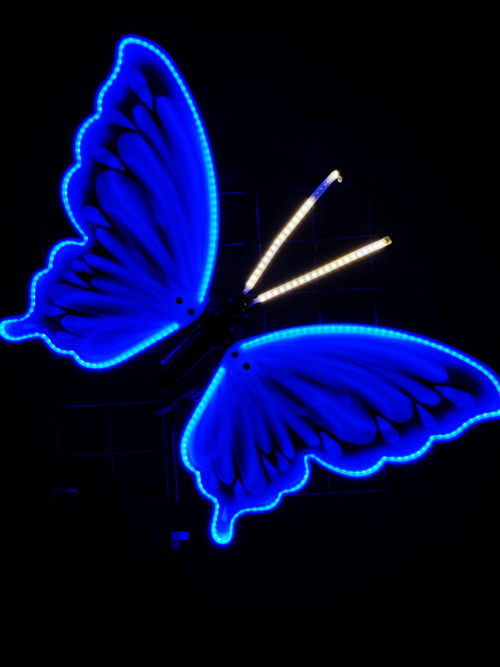 Borboleta azul de 40 cm